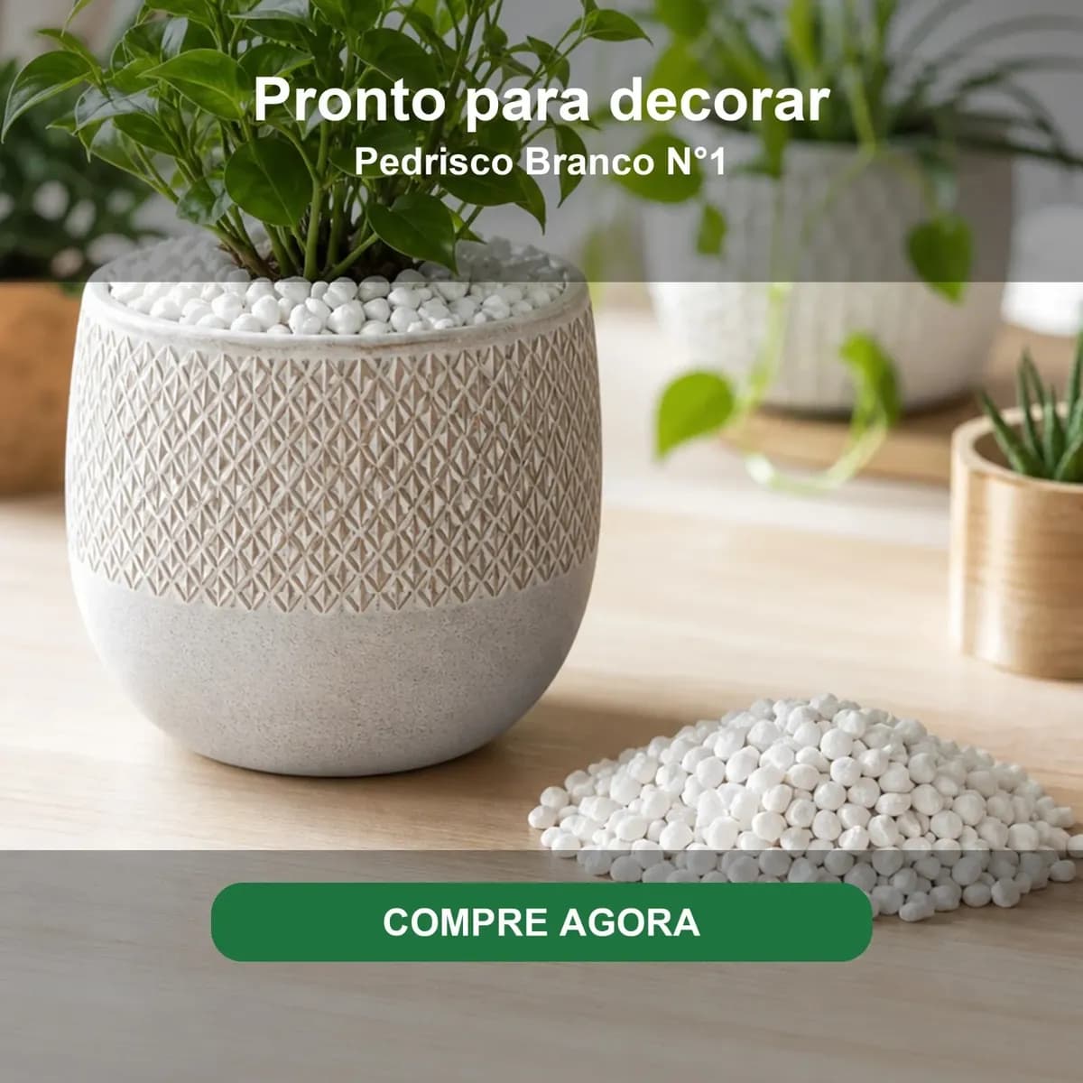 10kg Pedras Ornamentais Pedrisco Branco Pedras P Jardim Nº 1 Branco 1 Mm 1.27 Cm
