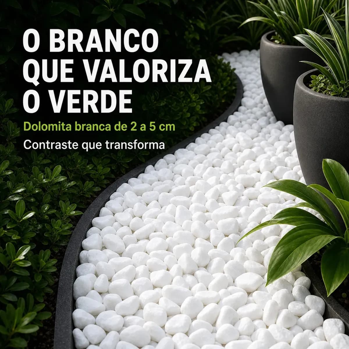 10kg Pedra Branca Dolomita Para Vasos Jardim E Paisagismo Branco 2 Cm 5 Cm