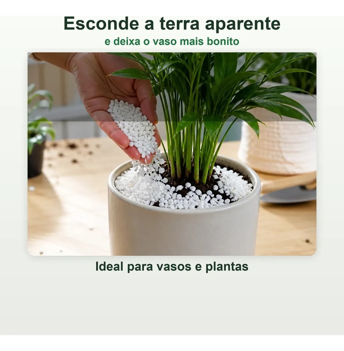 Pedras Ornamentais Pedrisco Branco Tam 1 Vaso Suculenta 10kg Branco 1 Cm 3 Cm