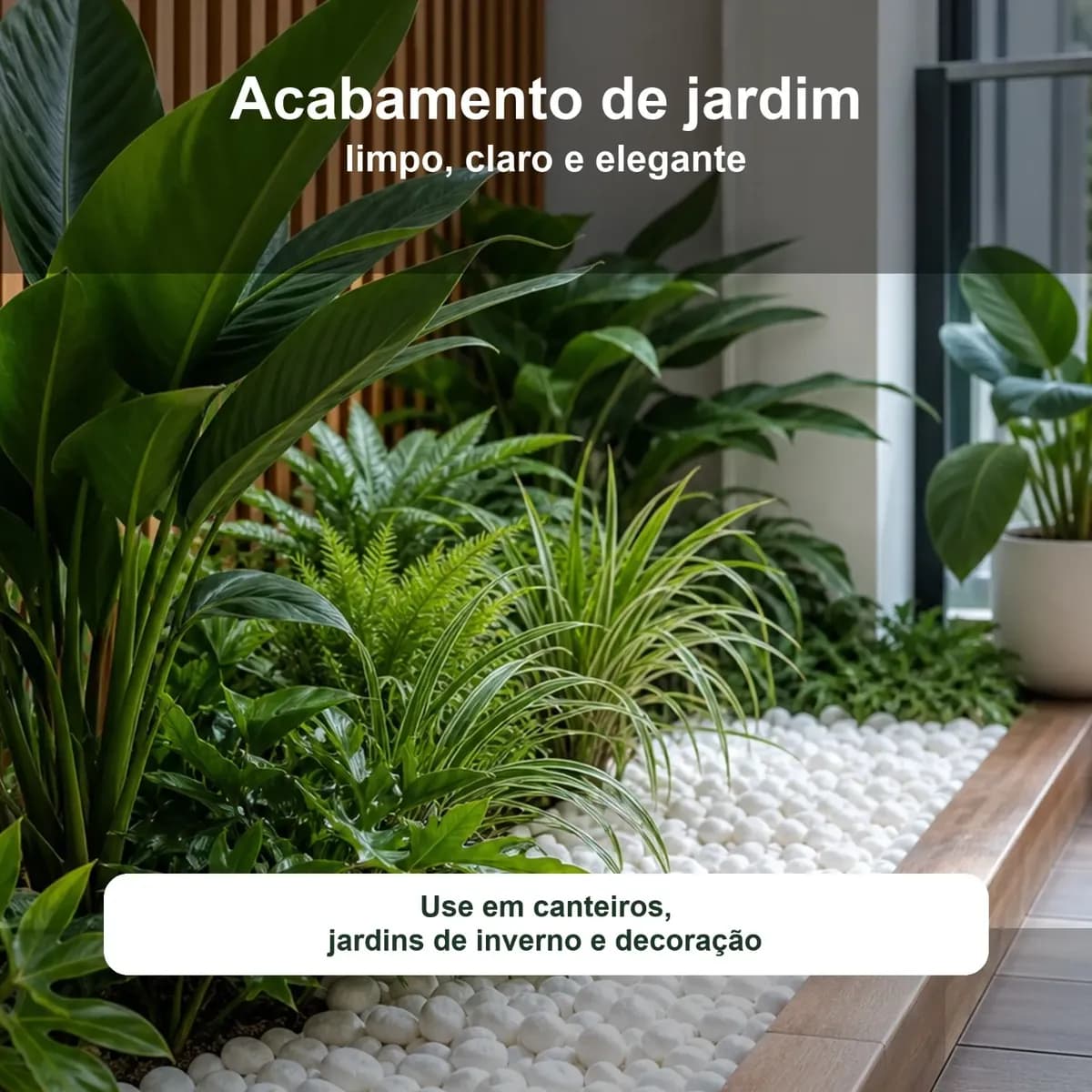 Pedras Ornamentais Pedrisco Branco Tam 1 Vaso Suculenta 10kg Branco 1 Cm 3 Cm