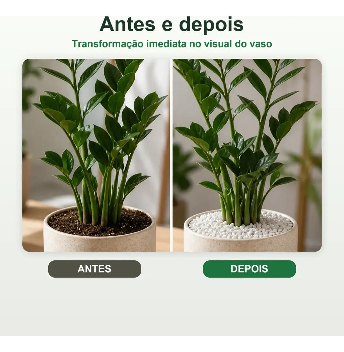 Pedrinha Branca Vaso Jardim Decoração Aquário Terrario 5kg. Branco 1 Cm 5 Cm