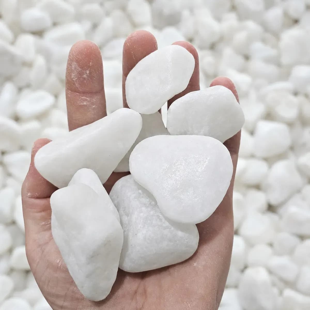 Pedra Dolomita Branca Seixo Para Jardim Vasos Paisagismo 5kg Branco 2 Cm 5 Cm